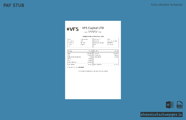 VFS Capital Gehaltsabrechnungsbeispiel (Vorschau)